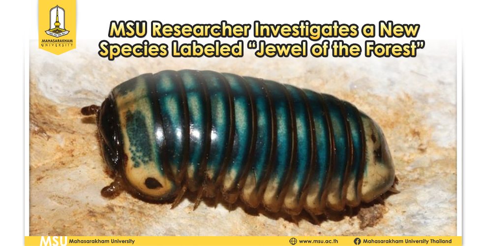 MSU Researcher Investigates a New Species Labeled “Jewel of the Forest”  
