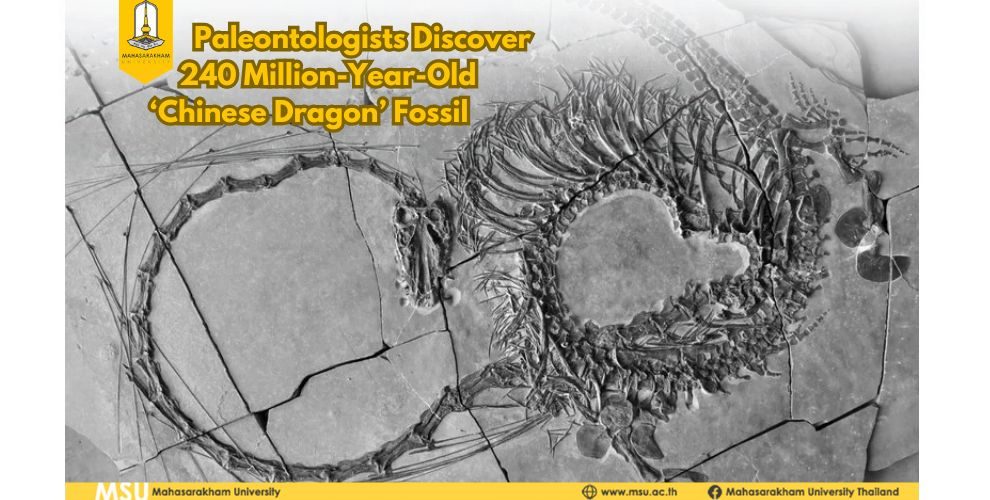 Paleontologists Discover 240 Million-Year-Old ‘Chinese Dragon’ Fossil